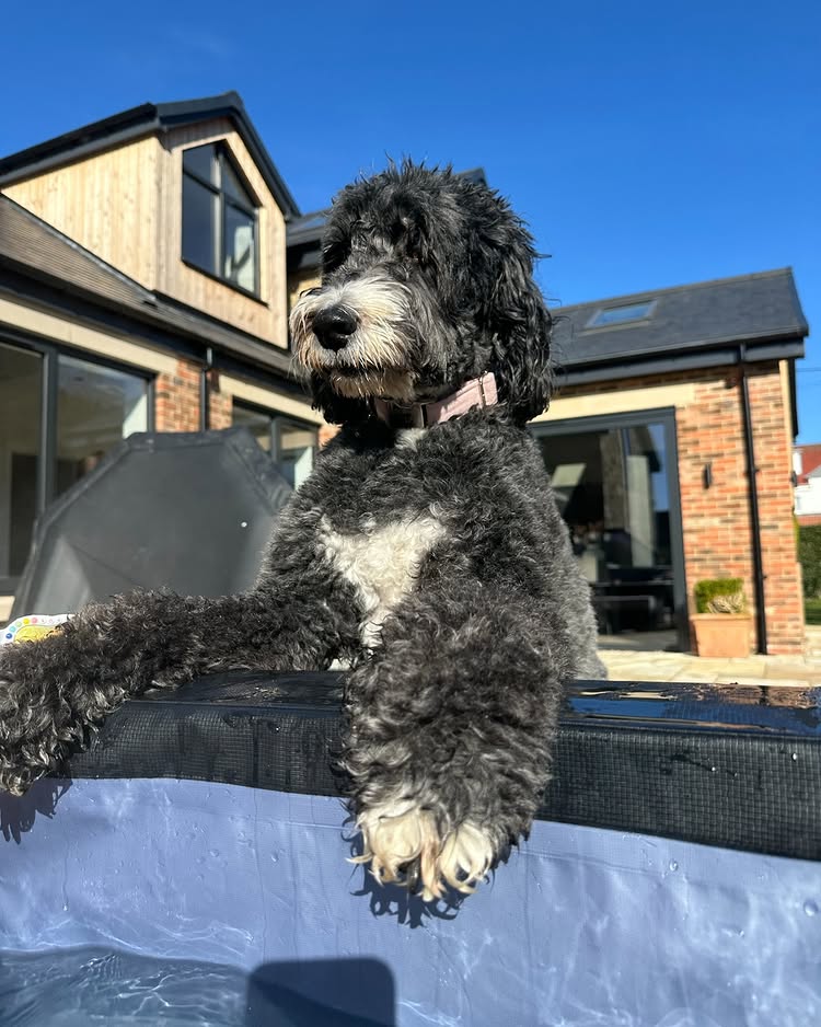 Is it expensive to have an inflatable hot tub 02